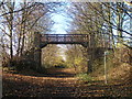 Footbridge over the Trans Pennine Trail near Worsbrough Bridge