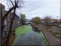 TQ3682 : Regent's Canal north of Mile End Road by David Smith