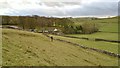 Approaching Woodside Farm