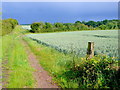 SP2876 : Fields at Bockendon Road by Nigel Mykura