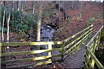 SE1349 : Footbridge in West Park Wood, near Denton by John Sparshatt