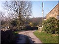 Track to Priddy Bank Farm, Sabden