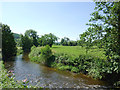 Pasture by the Afon Aeron  near Llundain-fach, Ceredigion