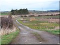 Farm road near Wellhouse Farm