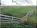 NZ0473 : Stream, fence and field near Fenwick by Oliver Dixon