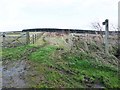 Bridleway from South Fens to Blackheddon Bridge