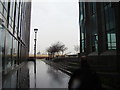 View of Billingsgate Market from Churchill Place