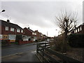 The Paddock (road) off Molescroft Park