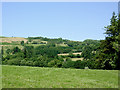 Farmland north-west of Llundain-fach, Ceredigion