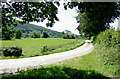 Pasture by the Afon Aeron near Llundain-fach, Ceredigion