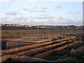 TQ4600 : Foundations of the Chailey Marine Hospital near Tide Mills, East Sussex by PAUL FARMER