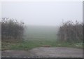 Field entrance off Northallerton Road