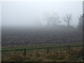 Farmland off the B1263