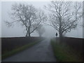 Lane heading south near Haswell Grange