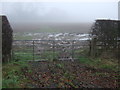 Field entrance off the A167