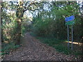 Cycle Route 6 leading towards Bestwood Park