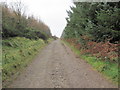 ST1790 : Track heading towards Mynydd y Grug by John Light