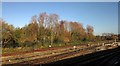 Railway at Swindon Station