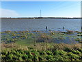 TL2799 : Whittlesey Wash under water - The Nene Washes by Richard Humphrey