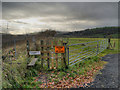 Trans Pennine Trail at Gamesley