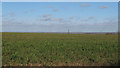 Arable land near Grange Farm