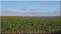 TQ8998 : Arable land near Grange Farm by Roger Jones