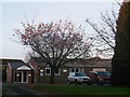 Staplecross Village Hall