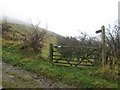 Field edge footpath near Highside Farm