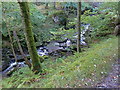 Allt an Fhionn flowing towards Loch Earn