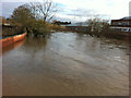 Derwent in flood