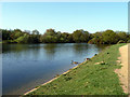 Heronry Pond