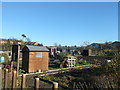 Whitehall Lane Allotment Gardens