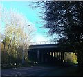 Bridge over Marshfoot Road