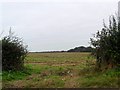 Field access near Farnborough, Berkshire