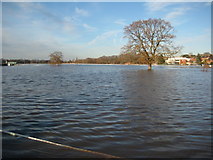 SO8455 : Flooded Pitchcroft in Worcester by Philip Halling