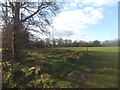 An old broad track to Farm Cleave