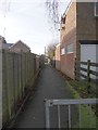 Footpath - The Birches