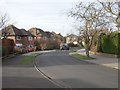 Tredgold Avenue - viewed from Wynmore Avenue