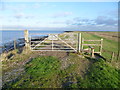 Riverside path to Allhallows Marshes