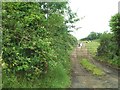 Private farm lane off the Boho road