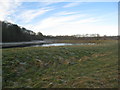 Former gravel pits by the Tyne