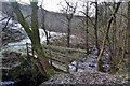 Deerstones near Bolton Abbey