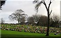 Torquay Cemetery