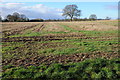 Stubble field at Preston Wynne