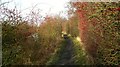 Beside the old Barnsley Canal