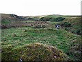 NT9923 : Remains of building beside burn, Old Middleton by Andrew Curtis