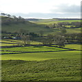 Chelmorton fields