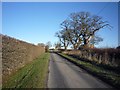 Sand Hutton to Bossall road