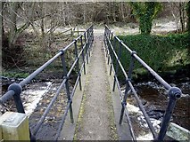 NY9357 : Footbridge over Devil's Water by Andrew Curtis