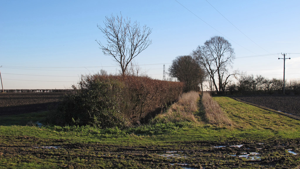 hedgerow-on-field-boundary-roger-jones-geograph-britain-and-ireland